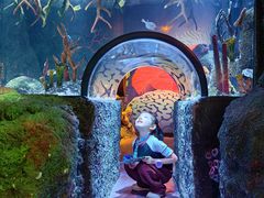 -沈阳海洋探索中心