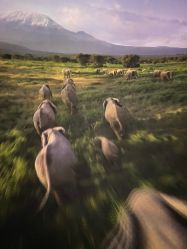 -翱翔飞越地平线