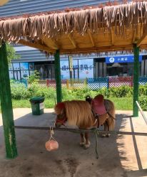 -萌宠亲子动物乐园(槐房万达店)