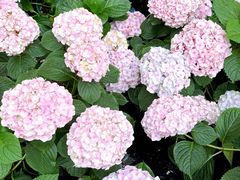 -上海长风大悦城