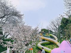 -杭州少年儿童公园
