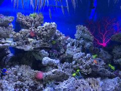 -成都浩海立方海洋公园