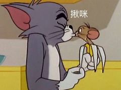-飞行喵MR PILOT|猫舍·猫咖(静安大融城店)