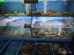 -老东镇啤酒屋海鲜加工·蒸汽海鲜·海鲜烧烤(台东店)
