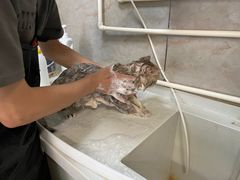 -沐沐家宠物(成寿寺店)