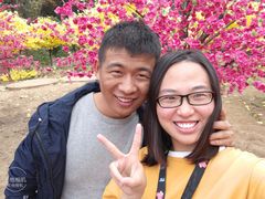 -千年银杏谷文化旅游区