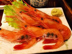 -左舞日本料理