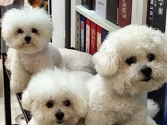 -伽利略剧本探案馆(国贸店)