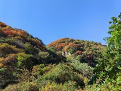 -抱龙峪