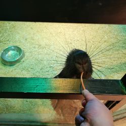 -酷嗒动物文化乐园(cutezoo西溪乐天城店)