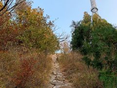 -佛慧山