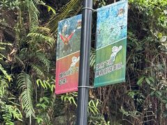 -广州市白云山风景名胜区