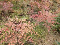 -四里河滨水生态公园