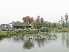 -秀丽东方