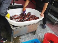 挑虾-指爱龙虾(金杨路总店)