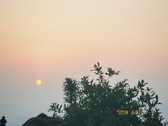 -长虫山生态公园风景林