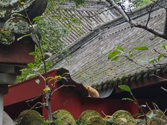 -成都武侯祠博物馆