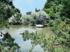 -上海醉白池公园