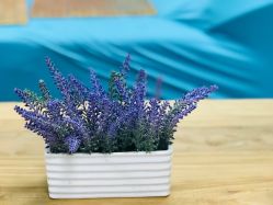 -斐尔国际皮肤管理中心