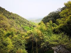 -韬光茶庵