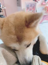 -JX今喜美甲美睫