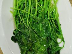 蒜蓉炒芥兰苗-海港酒楼·平价海鲜·茶点(小公园店)