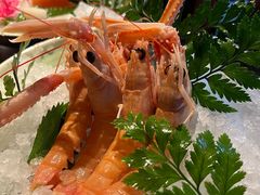 -Mr.Fish鱼鲜生海鲜放题(高德置地冬广场店)