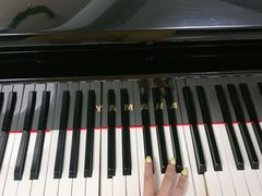 -梅纳·钢琴声乐架子鼓Mena Music(双井店)