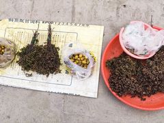-海窝子古镇