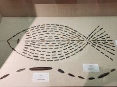 -巴音郭楞蒙古自治州博物馆