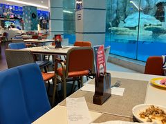 大堂-帝企鹅自助餐厅•儿童岛•真企鹅(长隆企鹅酒店)