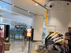 -麦当劳(北京大兴机场二层国内到达(安检外)店)