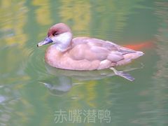 -北京动物园