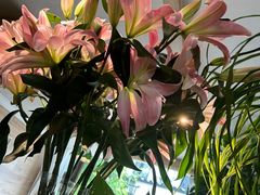-春暖花开(西溪店)