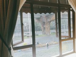 -四川娇点医学美容医院