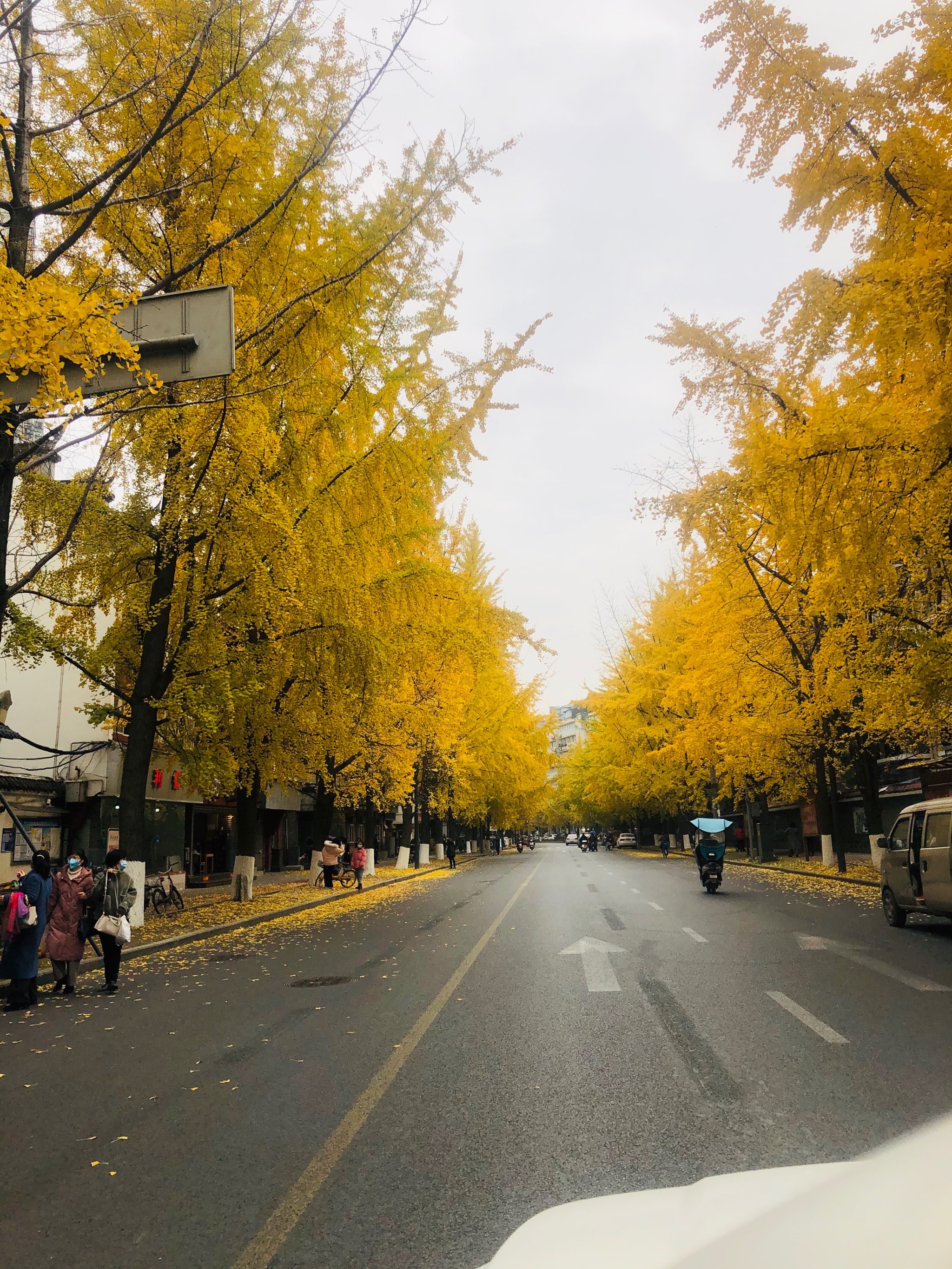 都江堰市银杏街道图片