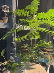 -周忆刺青原创设计定制