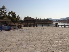 -苏州太湖国家湿地公园
