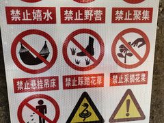 -白水寺森林公园