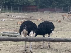 -西安秦岭野生动物园