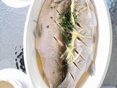 清蒸白鱼-品鲜村农家菜·阳澄湖大闸蟹(总店)