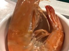 白灼虾-南蚝小贝海鲜特色餐厅(南澳岛店)