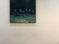 -常识咖啡common sense(春熙路店)