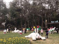 -保利石象湖景区