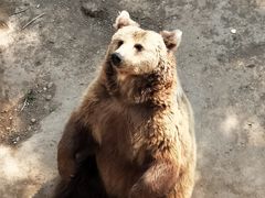 -石家庄市动物园