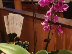 -松鹤楼·苏式汤面(虹桥天地店)