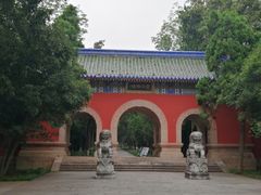 -灵谷景区