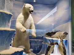 -国家自然博物馆