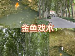 -河南省黄河迎宾馆