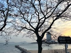 -青岛第二海水浴场